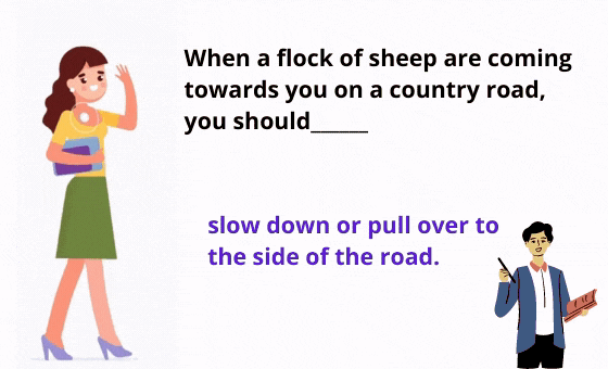 20 Salinan Kad Flash SRI (38)